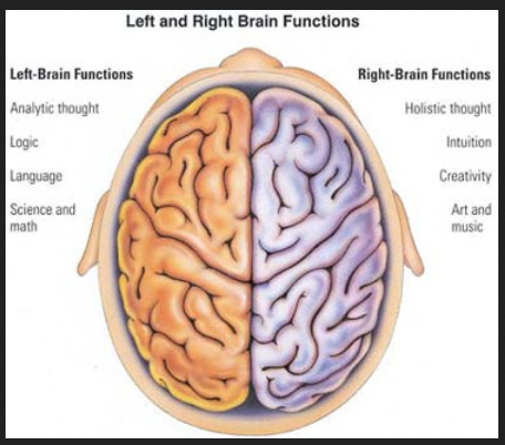 brain%20cole%20hall%202%20parts